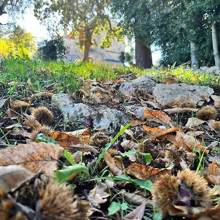 Il Trullo E Il Fortino Alberobello Exteriör bild