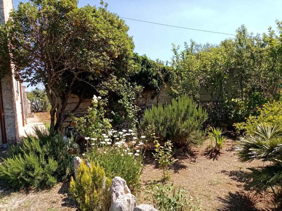 Il Trullo E Il Fortino Alberobello Exteriör bild