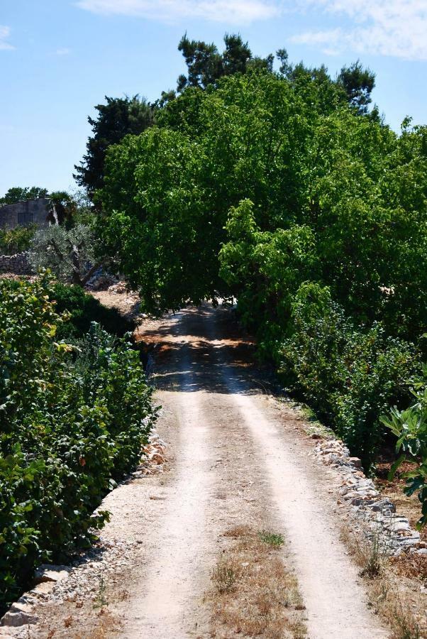 Il Trullo E Il Fortino Alberobello Exteriör bild